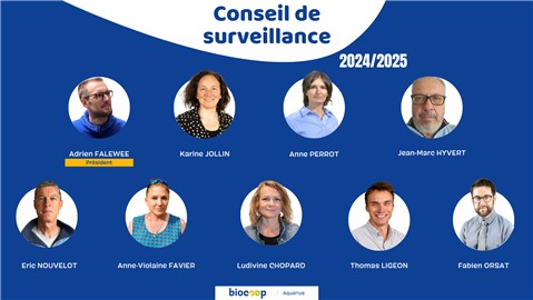 Le Conseil de Surveillance 