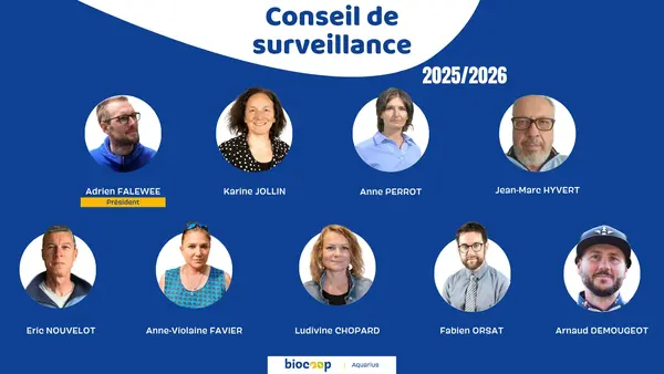 Le Conseil de Surveillance Le Conseil de Surveillance